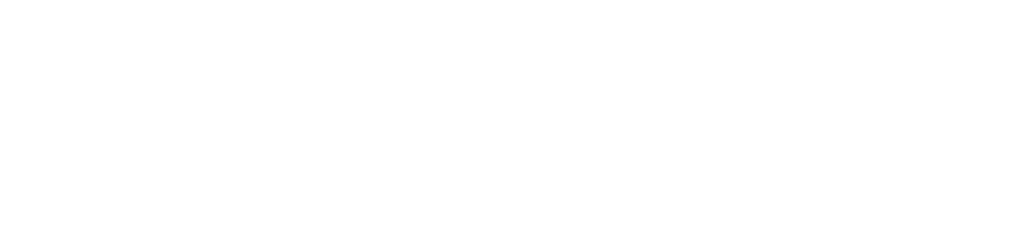 Logo Provider Digital - Company that developed this website